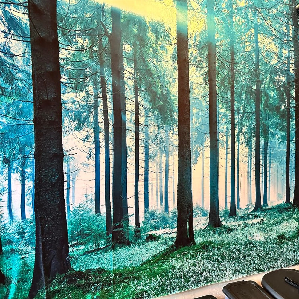 Mystical Forest Tapestry Sunlit Pine Trees Wall Hanging Nature Landscape Decor for Bedroom Living Room & Dorm